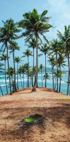 Mirissa Beach