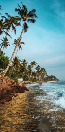 Polhena Beach